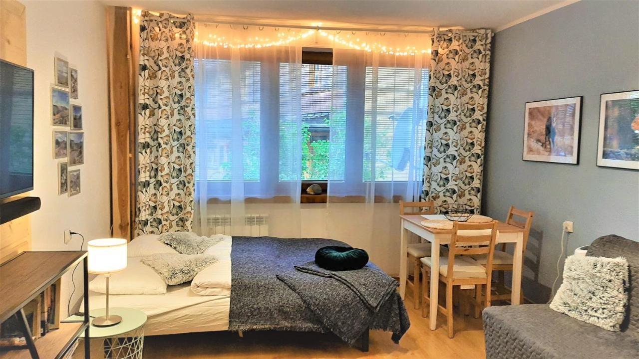 Studio Mila I Nido W Centrum Apartzakop Закопане Экстерьер фото