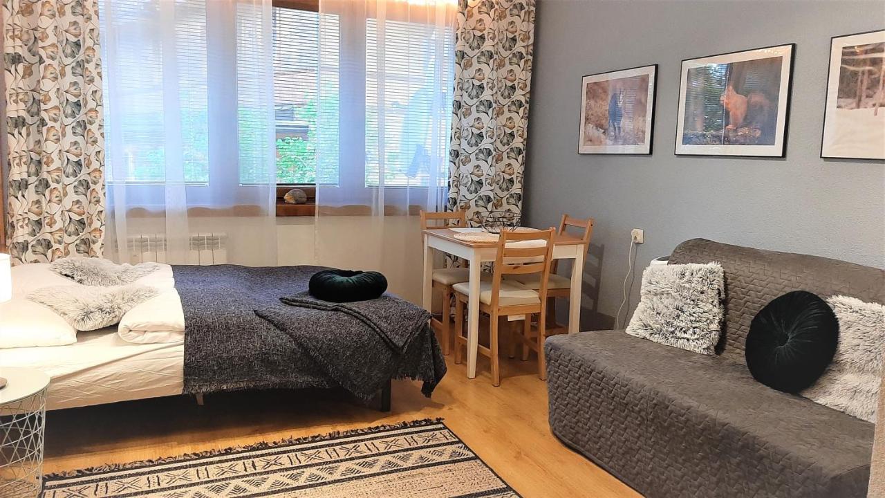 Studio Mila I Nido W Centrum Apartzakop Закопане Экстерьер фото